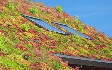 Tong Street living roof systems